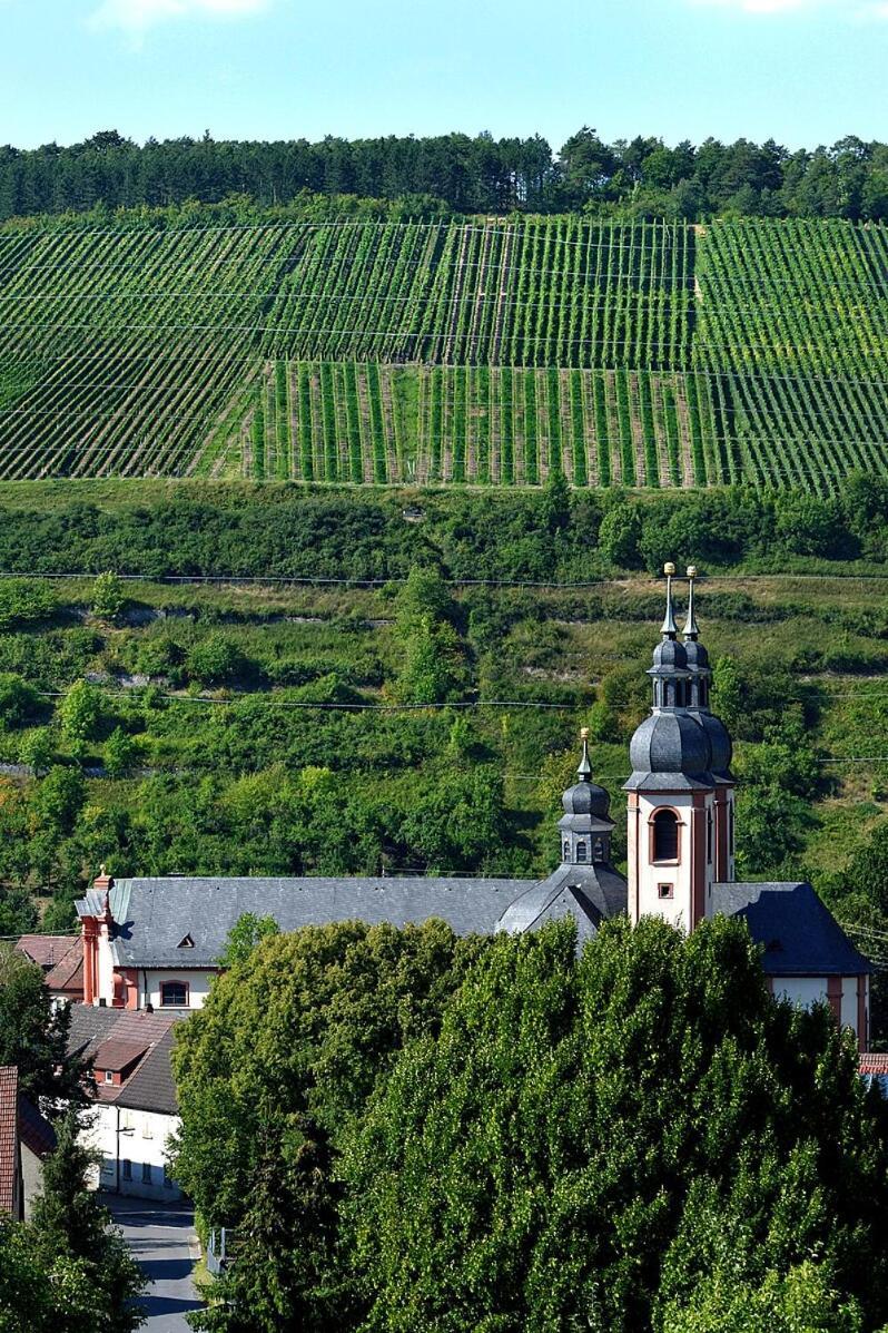 Ferienwohnung Weinbergglueck Lauda-Königshofen Exterior foto